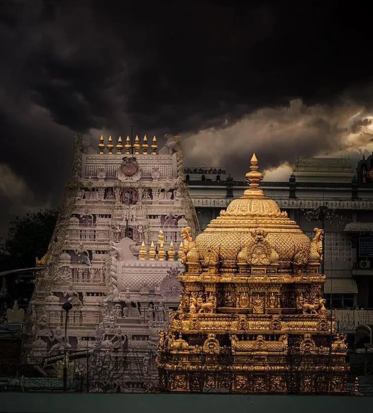 cf3765d940c40dbf1ee7663230be1a78